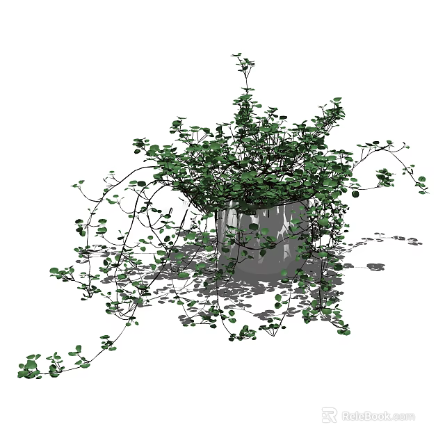 Bonsai Potted Plant With Lush Green Leaves And Trailing Vines In Ceramic Container 3d model 