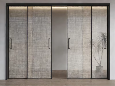 Modern Minimalist Sliding Doors With Textured Glass And Black Frame Indoor Plant 3d model
