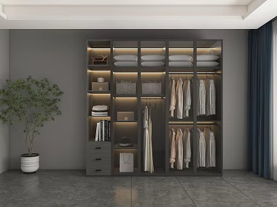 Modern Multi layered Wardrobe with Drawers Hanging Rails Folded Clothes and Green Plant Indoor 3d model