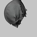 Horseshoe Crab With Brown Shell And Unique Body Structure Against Blue Sky