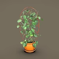Decorative Climbing Plant With Green Leaves White Spots On Red Metal Trellis In Orange Pot