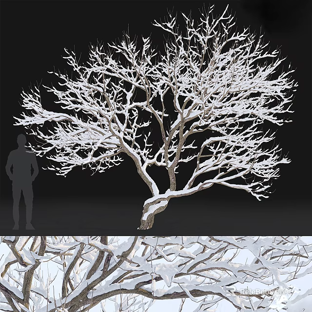 Snow Covered Tree With Intricate Branches And Human Silhouette Against Dark Background 3d model 