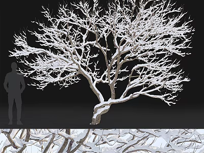 Snow Covered Tree With Intricate Branches And Human Silhouette Against Dark Background 3d model