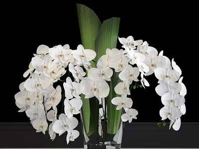 Elegant White Orchids With Fresh Green Leaves In Glass Vase Decorative Arrangement 3d model