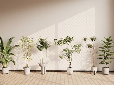Different Types of Potted Plants on Light Floor Against Light Wall with Window Blind Shadows 3d model