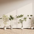 Different Types of Potted Plants on Light Floor Against Light Wall with Window Blind Shadows