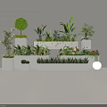 Elegant Plant Combinations With White Planters Green Shrubs Tropical Foliage And Flowering Plants