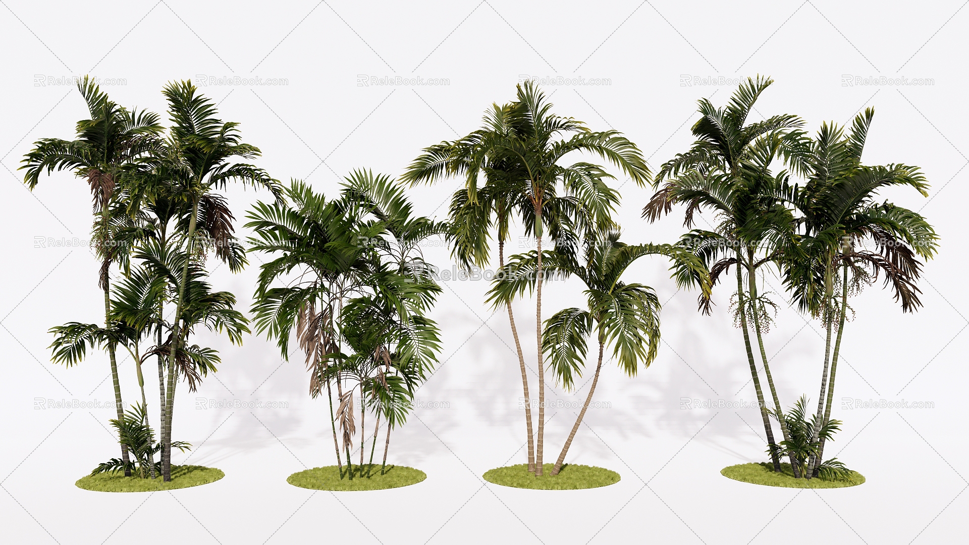 Modern Green Tree Palm Coconut Tree Dawang Coconut Landscape Tree 3d model