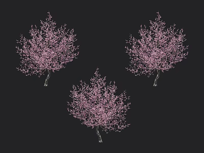 Three Trees Full Of Pink Blossoms Standing Against Black Background 3d model