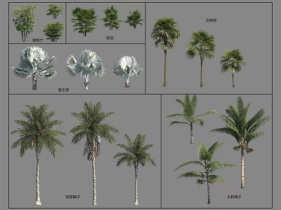 Various Arbor Tree Species With Tall Trunks And Green Foliage For Landscaping 3d model