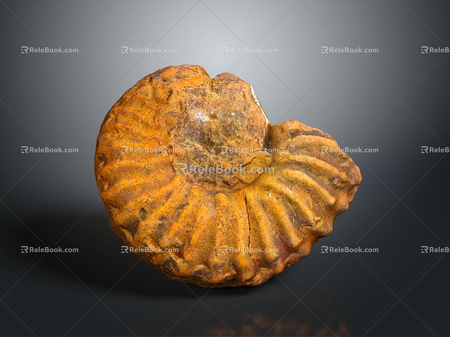 Chi chrysanthemum stone ancient fossil stone chrysanthemum fossil items 3d model