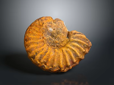 Natural Ammonite Fossil In Orange Yellow With Spiral Texture As Decorative Household Item 3d model