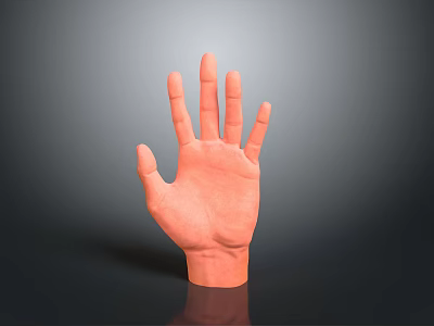 Orange 3D Human Hand Organ Model With Extended Fingers And Palm Up 3d model