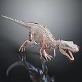 Dinosaur Skeleton Anatomical Model With Internal Organs And Fur Details 3d model