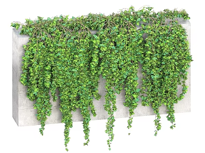 Green Hanging Vines Decorating Stone Wall With Lush Foliage And Cascading Branches 3d model