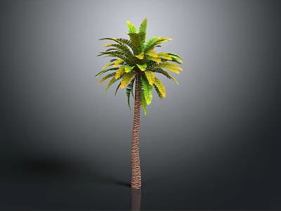 Tall Tropical Palm Tree With Green Yellow Leaves Brown Trunk Isolated On Grey Background 3d model