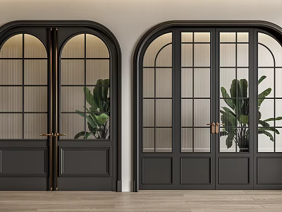 Black Arched Glass Double Doors with Metal Handles Green Plants and Wooden Floor in Interior Design 3d model