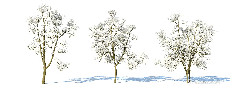 Snow Covered Arbor Trees With Sunlight Shadows On White Background 3d model