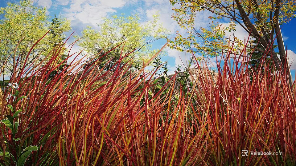 Red and Yellow Shrubs in Garden with Blue Sky White Clouds and Other Trees 3d model 