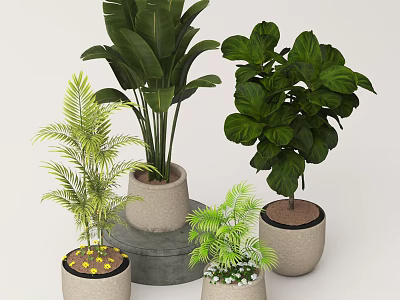 Tropical and Palm Leafy Indoor Plants in Modern Ceramic Planters with Concrete Stand 3d model