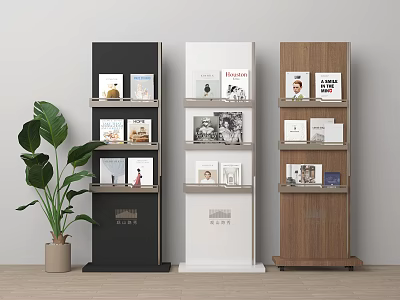 Modern Book Display Shelves in Black White Wooden with Magazines Books and Green Plant 3d model