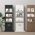 Modern Book Display Shelves in Black White Wooden with Magazines Books and Green Plant