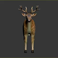 Realistic 3D Deer Model with Orange Fur White Spots and Antlers on Dark Background