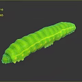 Vibrant Green Caterpillar With Yellow Spots On Dark Reflective Surface 3d model