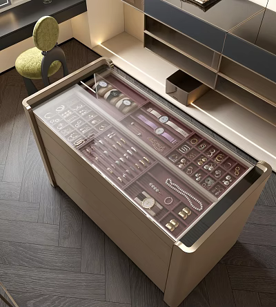 Luxury Walk-in Closet Jewelry Storage Drawer With Clear Lid And Organized Accessories 3d model