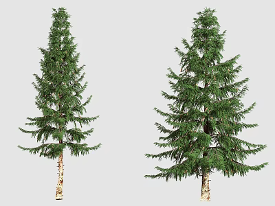 Tree Landscape Tree Conifer Cedar 3d model Tree Landscape Tree Conifer Cedar 3d model