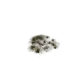 Natural Style Ornamental Decorative Set with Grass Like Plants and Various Sizes for Home Decor