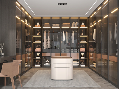 Modern Cloakroom 3d model