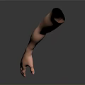 Detailed Human Arm Organ Model Displaying Skin Texture and Fine Hair Features