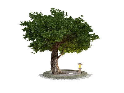 Arbor With Lush Green Foliage Thick Trunk Round Stone Base And Small Lantern 3d model