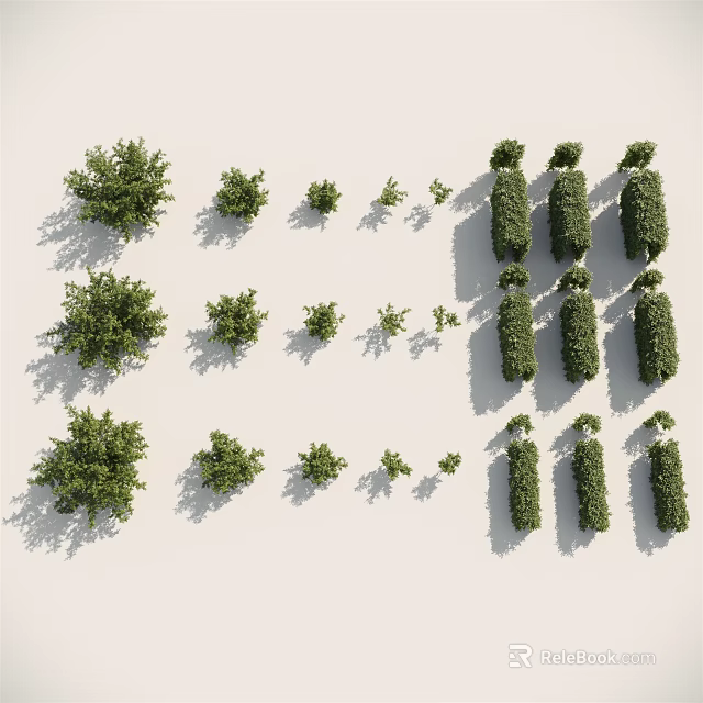 Various Shrub Varieties For Garden Landscaping With Different Sizes And Shapes 3d model 
