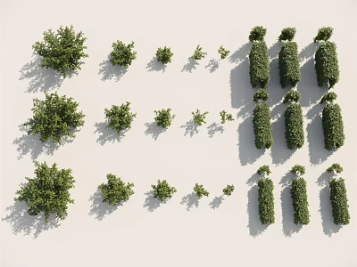 Various Shrub Varieties For Garden Landscaping With Different Sizes And Shapes 3d model