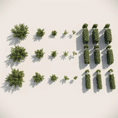 Various Shrub Varieties For Garden Landscaping With Different Sizes And Shapes 3d model