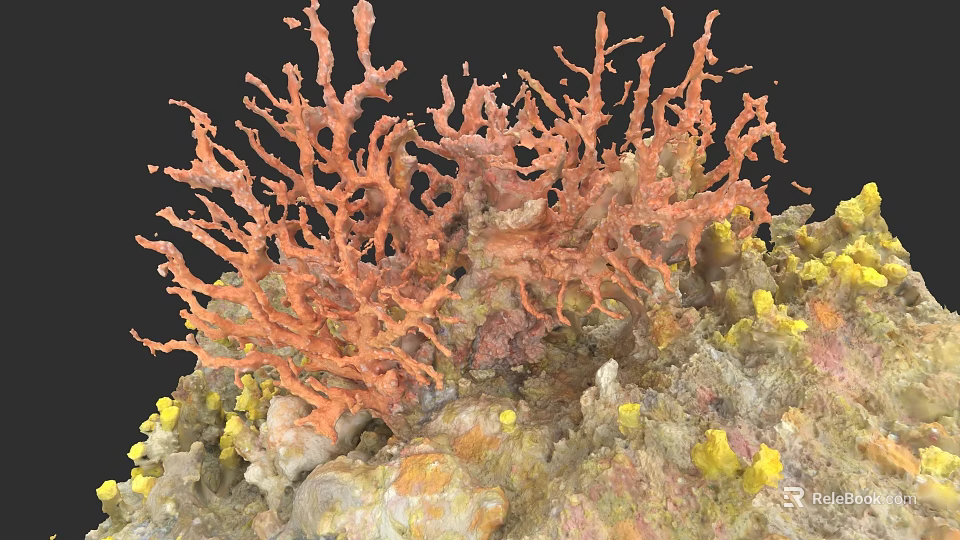 Botanical Painting of Vibrant Orange Coral with Yellow Accents and Textured Base 3d model 
