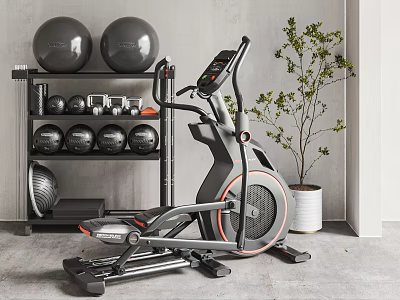 Home Gym Sports Equipment With Elliptical Trainer Dumbbells Medicine Balls And Storage Shelf 3d model