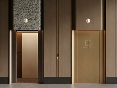 Sleek Modern Elevator Doors With Decorative Wall Panel And Golden Finish 3d model