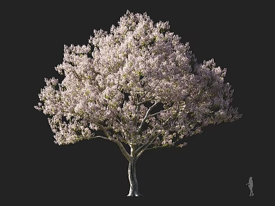 Lavender Flowering Arbor with Lush Canopy and Human Figure for Scale 3d model