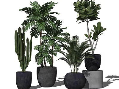 Assorted Potted Plants With Cactus Palm Green Leafy Plants In Dark Pots And Stone Base 3d model