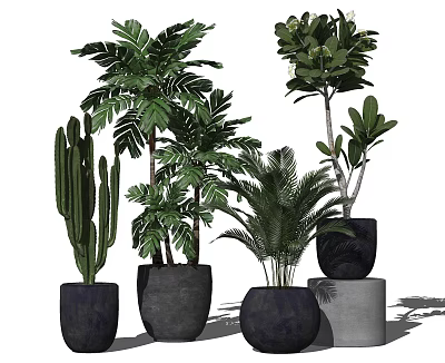 Assorted Potted Plants With Cactus Palm Green Leafy Plants In Dark Pots And Stone Base 3d model