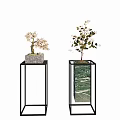 Bonsai Trees On Black Metal Stands With Woven And Green Marble Pots White Pink Flowers