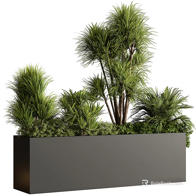 Bonsai Potted Plants with Lush Greenery in Black Square Modern Planter 3d model 