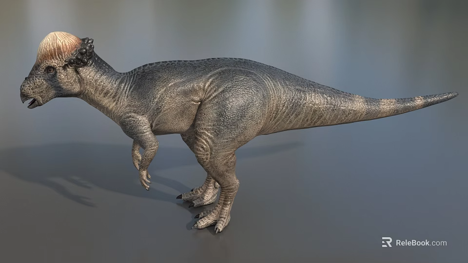 Detailed Reptile Dinosaur Model With Bony Crest And Scaly Skin Standing Posture 3d model 