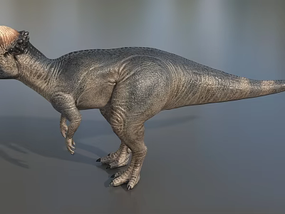 Detailed Reptile Dinosaur Model With Bony Crest And Scaly Skin Standing Posture 3d model