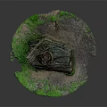Natural Wood Stone with Layered Texture Green Moss and Organic Surface Patterns
