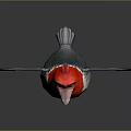 Cartoon Cardinal Bird With Red Body White Belly And Black Wings On Grey Background