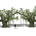 Banyan tree, ancient tree, towering tree, landscape tree 3d model